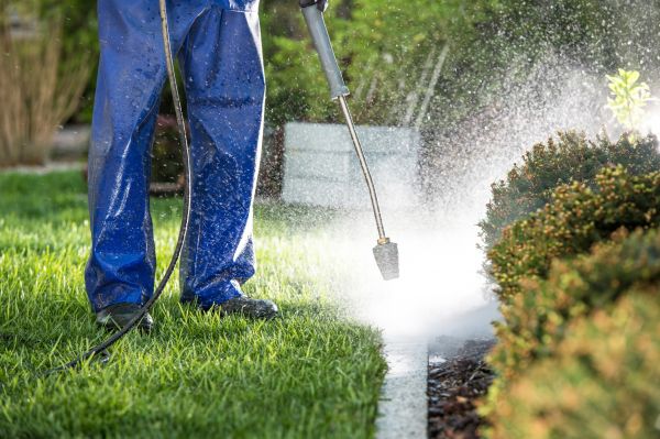 Curb Cleaning in La Crosse