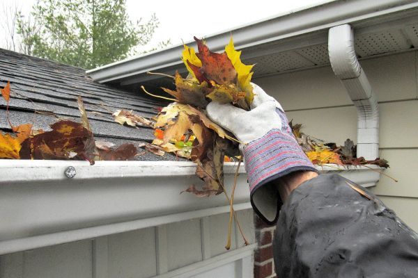 Eaves Cleaning in La Crosse