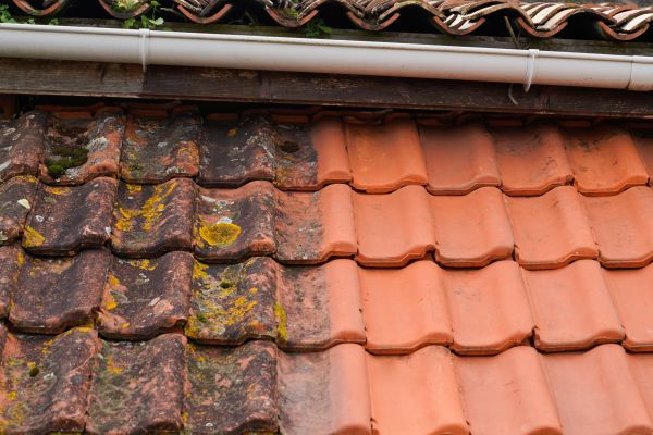 Industrial Roof Cleaning in La Crosse