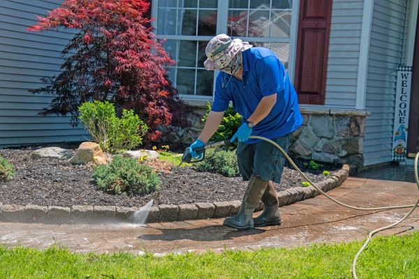 Brick Walkway Cleaning in La Crosse